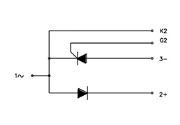 Schaltplan der Thyristor-Module